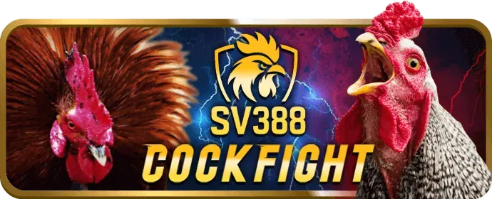 Hình ảnh minh họa cá cược có trách nhiệm tại mb661 casino